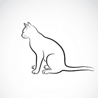 Formalin Cat, 14 to 18'', Double Injection