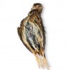 Carolina's Perfect Solution® Preserved Quail, Plain , Bag