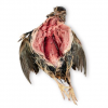 Carolina's Perfect Solution® Preserved Quail, Plain , Bag - Image 2