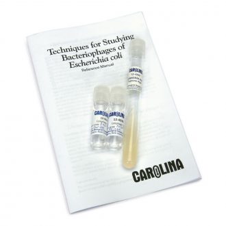 Basic Bacteriophage Culture Set A