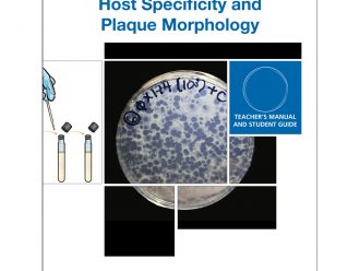 Exploring Bacteriophages: Host Specificity and Plaque Morphology Kit (with perishables)