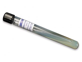 Escherichia coli C600, Living
