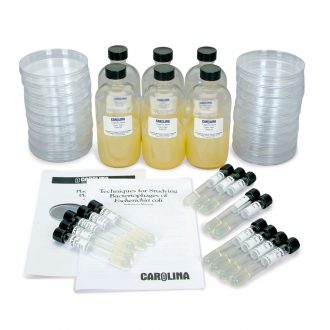 Plaque Assay Plating Set