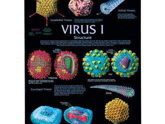 Virus I Poster
