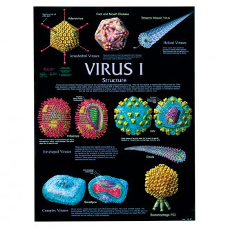 Virus I Poster