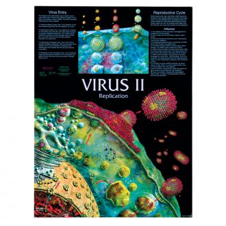 Virus II Poster