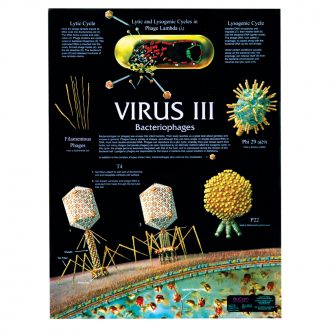 Virus III Poster