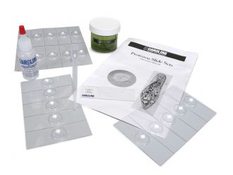 Carolina® Protozoa Slide Set, Euglena, Living