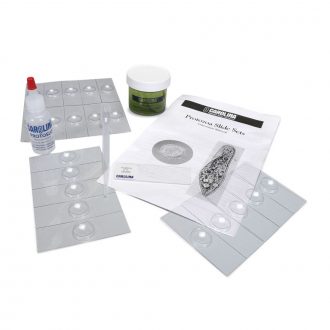Carolina® Protozoa Slide Set, Euglena, Living