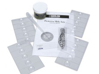 Carolina® Protozoa Slide Set, Mixed Protozoan, Living