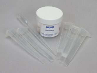 Chilomonas sp. Demoslide Set, Living