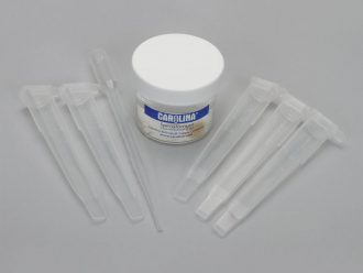 Paramecium multimicronucleatum Demoslide Set, Living