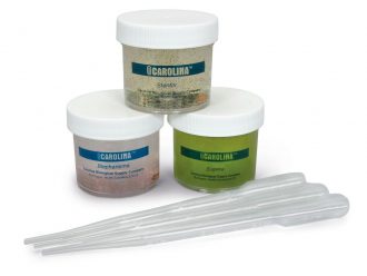 Protozoa Pigmentation Set, Living