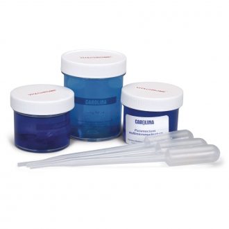 Vitachrome Set, Living, 3 Stained Cultures