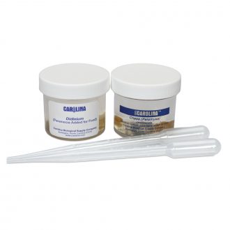 Preying Protozoa Set, Living