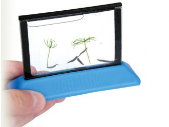 MicroAquarium