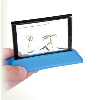 MicroAquarium
