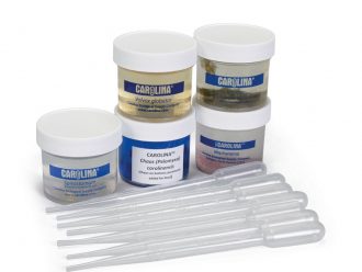 Easy-View Protozoa Set, Living