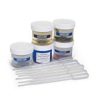 Easy-View Protozoa Set, Living