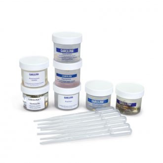 Ciliate Set, Living