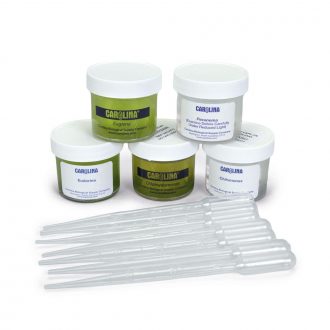 Flagellate Set, Living