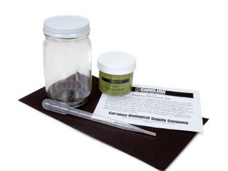 Euglena Phototaxis Kit, Living