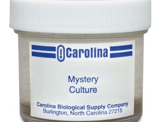 Protozoan Mystery Mixture Set, Living