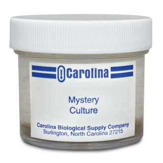 Protozoan Mystery Mixture Set, Living