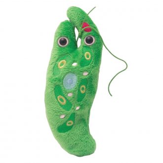 GIANTmicrobes® Euglena