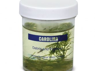 Debris and Plankton Collection, Living