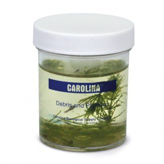 Debris and Plankton Collection, Living