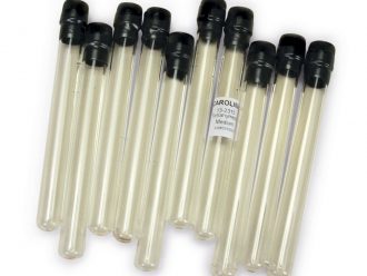 Tetrahymena Medium, Prepared Media Tubes, Pack of 10