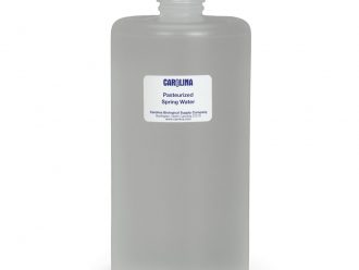 Pasteurized Springwater, 1 qt