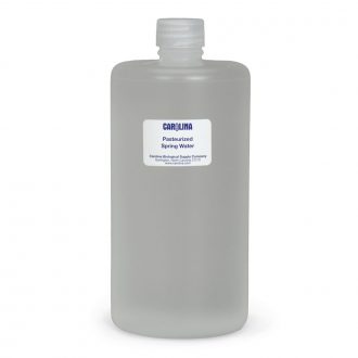 Pasteurized Springwater, 1 qt
