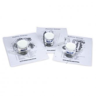 Hydra, Planaria, and Daphnia Review Set, Living