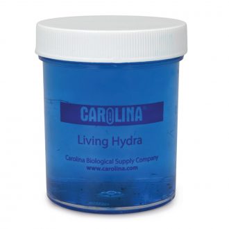 Hydra, Living, Vitachrome®