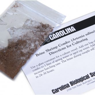 Brine Shrimp (Artemia) Combo Set