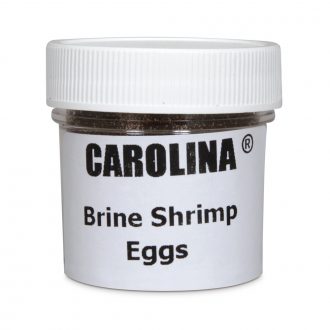 Brine Shrimp (Artemia) Eggs, 2 oz