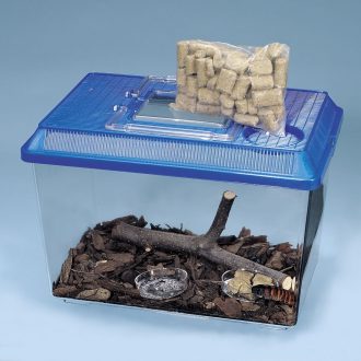 Madagascar Hissing Cockroach Habitat (with voucher)