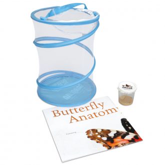 Painted Lady Butterfly Amazing Bugs® Kit (with live caterpillars)