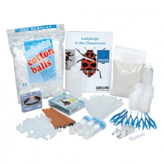 Ladybugs in the Classroom Kit (with live ladybug larvae)