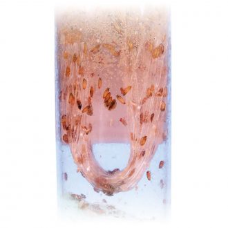 Drosophila, Living, Flightless, Culture