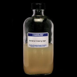 Crossing (Sordaria) Agar, Prepared Media Bottle, 125 mL