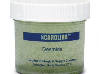 Desmid Mixture, Living