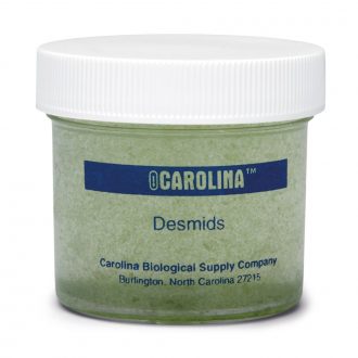 Desmid Mixture, Living