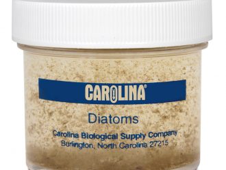 Field-Collected Mixed Diatoms Culture, Living