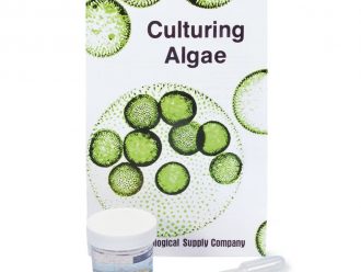 Diatom Mixture, Living