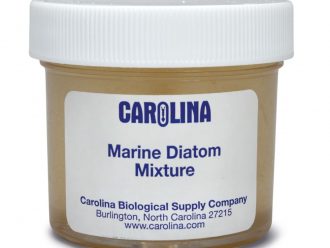 Diatom Mixture Marine, Living