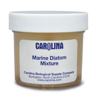 Diatom Mixture Marine, Living