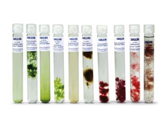 Marine Algae Set, Living